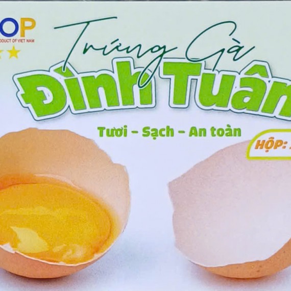 Trang Trại Gà Đẻ Trứng Thương Phẩm Nguyễn Đình Tuân