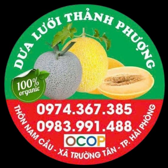 Dưa Lưới Thảnh Phượng Dưa Lưới Thảnh Phượng
