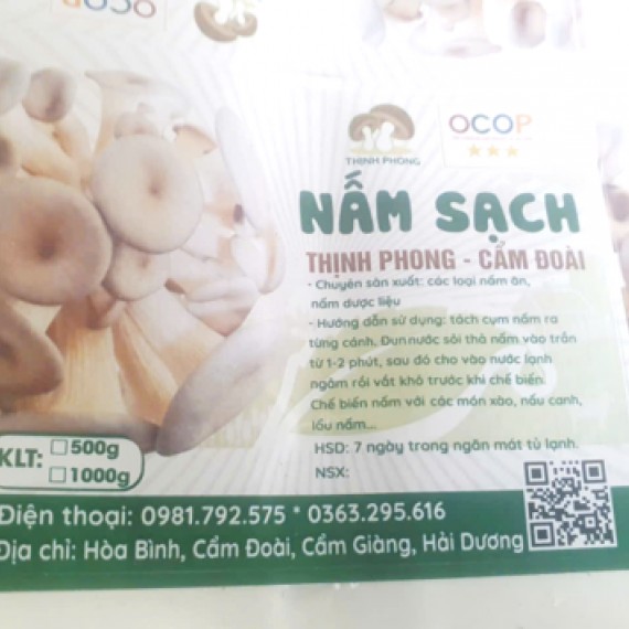 HỘ KINH DOANH VŨ HỒNG PHONG HỘ KINH DOANH VŨ HỒNG PHONG