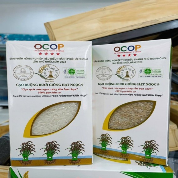HỢP TÁC XÃ SẢN XUẤT KINH DOANH DỊCH VỤ NÔNG NGHIỆP THỤY HƯƠNG HỢP TÁC XÃ SẢN XUẤT KINH DOANH DỊCH VỤ NÔNG NGHIỆP THỤY HƯƠNG