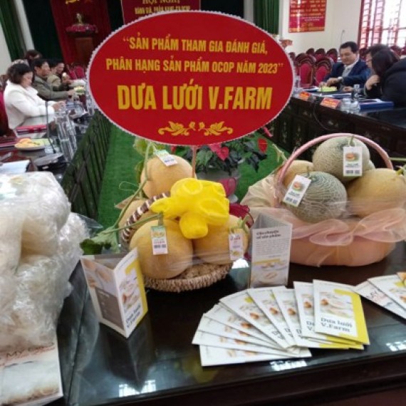 HỘ KINH DOANH NGUYỄN VĂN TIẾN HỘ KINH DOANH NGUYỄN VĂN TIẾN