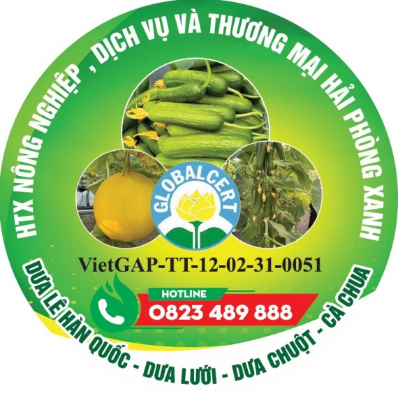 HỢP TÁC XÃ NÔNG NGHIỆP DỊCH VỤ VÀ THƯƠNG MẠI HẢI PHÒNG XANH HỢP TÁC XÃ NÔNG NGHIỆP DỊCH VỤ VÀ THƯƠNG MẠI HẢI PHÒNG XANH