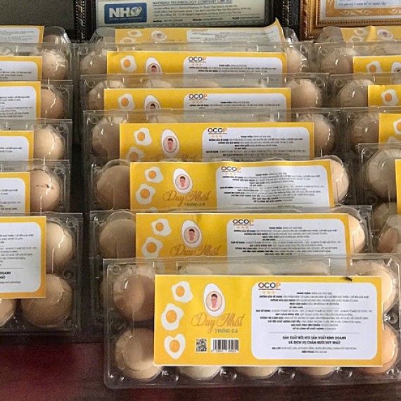 HỢP TÁC XÃ SẢN XUẤT KINH DOANH VÀ DỊCH VỤ CHĂN NUÔI DUY NHẤT HỢP TÁC XÃ SẢN XUẤT KINH DOANH VÀ DỊCH VỤ CHĂN NUÔI DUY NHẤT