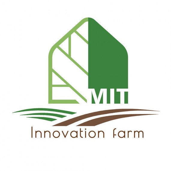 Công Ty Cổ Phần Mit Organization