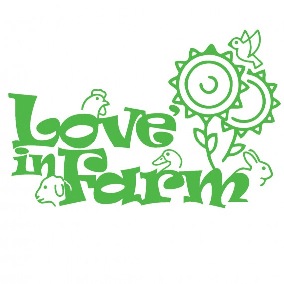 Công Ty Tnhh Thực Phẩm Q&V Hải Phòng