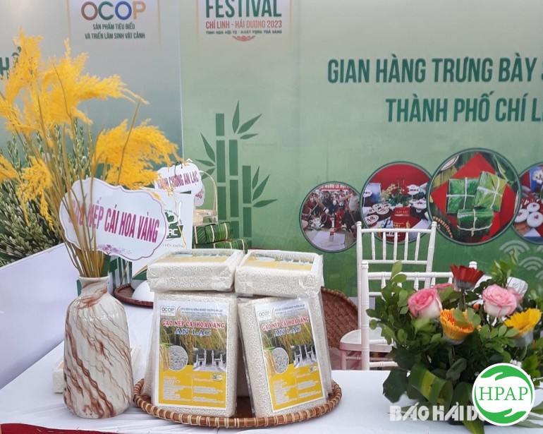 96-htx-dvnn-phuong-an-lac-2.jpg