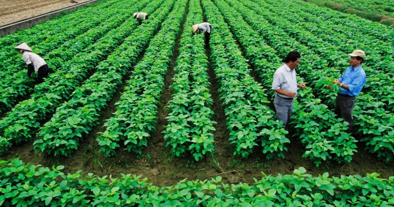 Việt Nam Hưởng Ứng Tầm Nhìn Mới Trong Nông Nghiệp