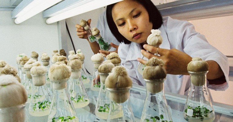 Ứng Dụng Công Nghệ Sinh Học Trong Lĩnh Vực Nông Nghiệp Tại Việt Nam