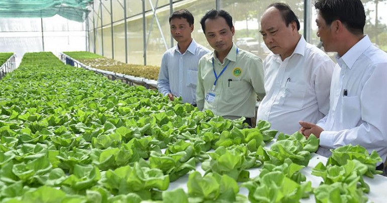 Tạo Mọi Điều Kiện Phát Triển Nông Nghiệp Công Nghệ Cao