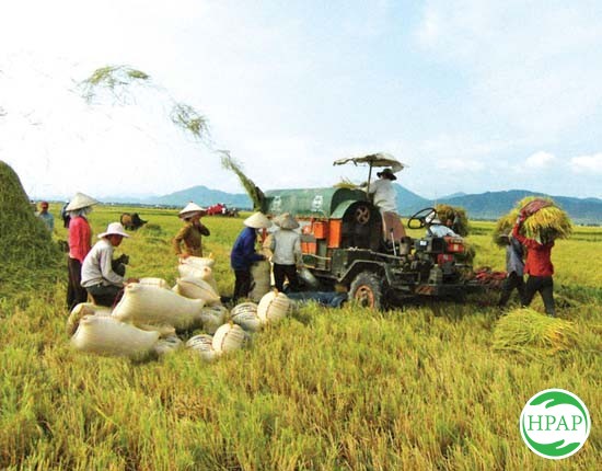 6-ung-dung-cong-nghe-sinh-hoc-trong-nong-nghiep-2.jpg