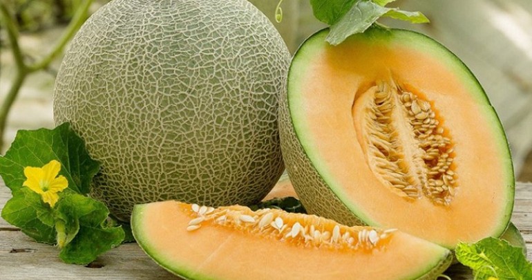 Quy Trình Sản Xuất Dưa Lưới
