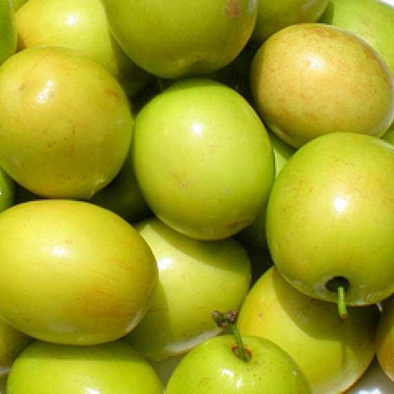 Quả Táo