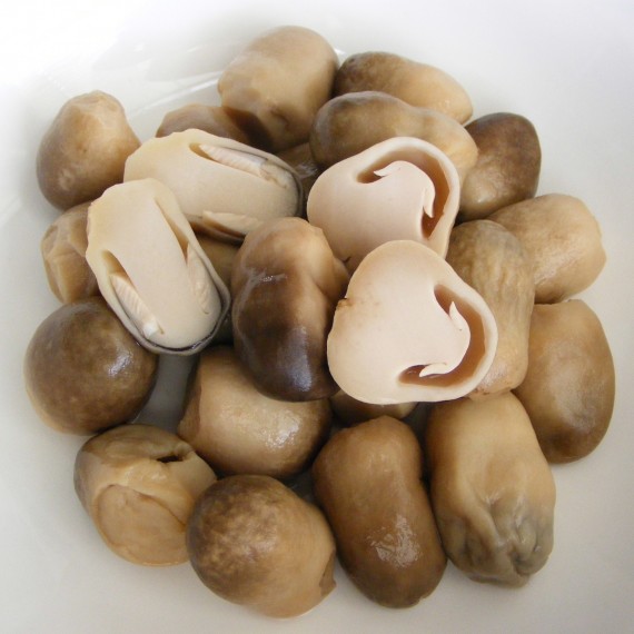 Nấm Rơm
