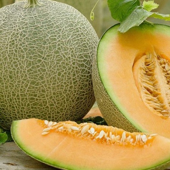 Dưa Lưới Dưa Lưới