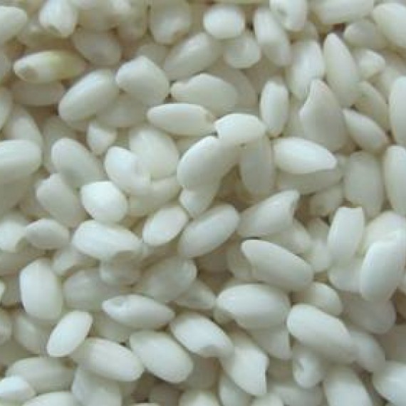 Nếp Cái Hoa Vàng