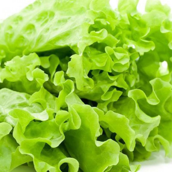 Rau Xà Lách