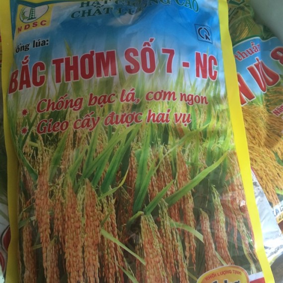 Gạo Bắc Thơm 7